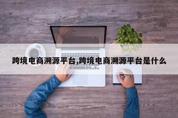 跨境电商溯源平台,跨境电商溯源平台是什么